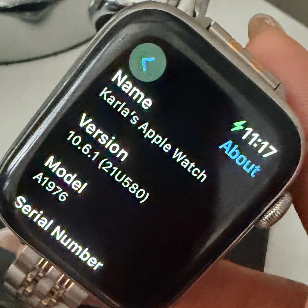 Stainless Steel Apple Watch Series 4